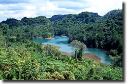 Bluelake