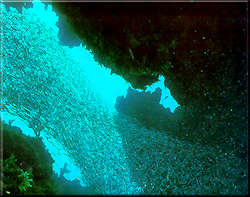 Blue Hole