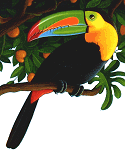 Flora & Fauna