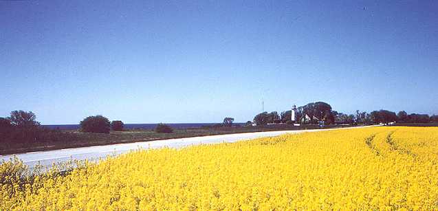 Leuchtturm Schonen