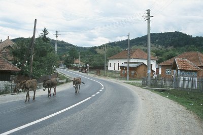 Eselstraße